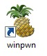 Winpwn icon