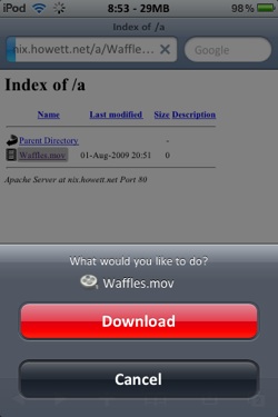 safari-download-manager-iphone