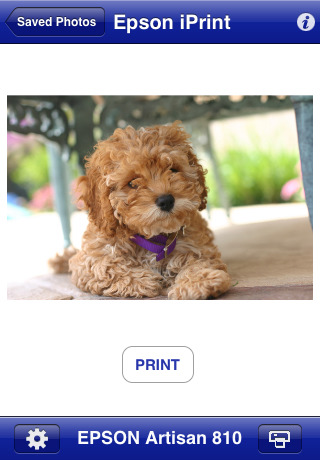 Epson iPrint