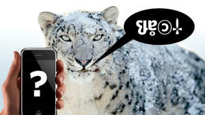 iphone_sl_server_fail_ars