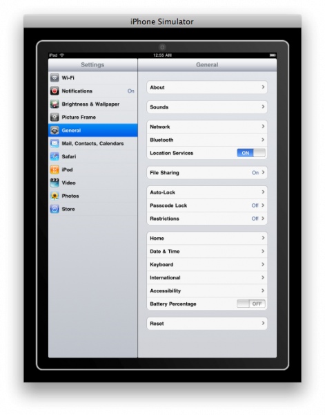 iPad network settings pic1