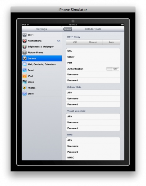 iPad network settings pic3