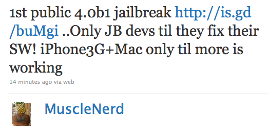 iPhone OS 4.0 beta Jailbreak by Dev Team Released [Recommended Only for Cydia Devs]