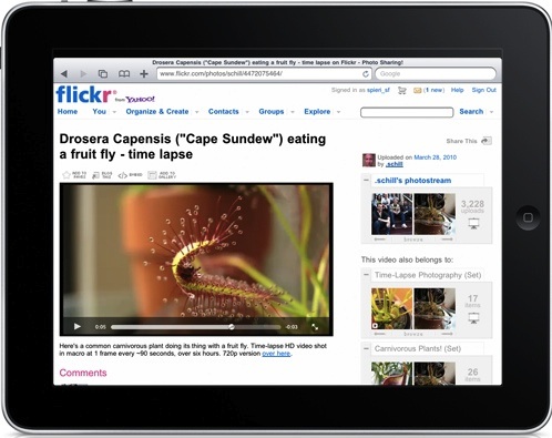 ipad_flickr_video
