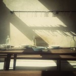 1st Place - Still Life