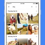 Google Photos iOS app