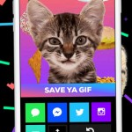 GIPHY-CAM-iOS-iPhone-screen568x568-2