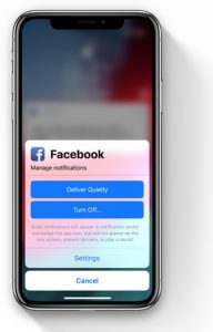 iOS 12 - Manage Notifications